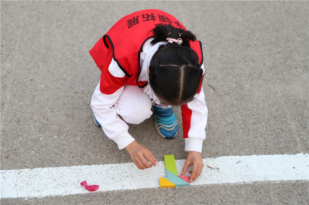 [天津海昌極地海洋公園]+ 一日拓展活動
