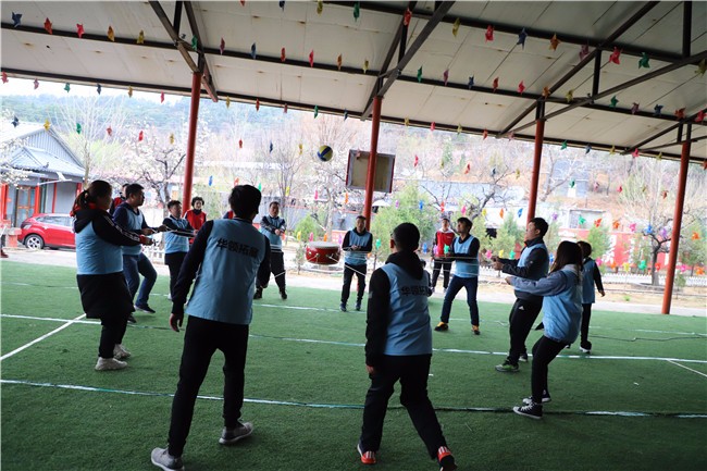 [上海瀏島拓展基地]+旅游團建一日活動