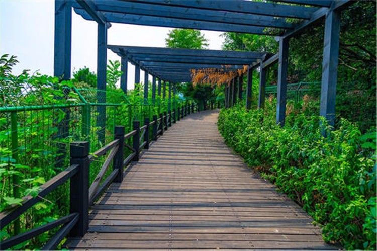 [蘇州樹山生態(tài)村拓展基地]+場地拓展活動