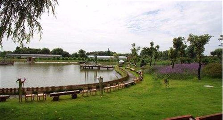 [上海太陽島拓展基地]-團(tuán)隊(duì)凝聚力一日團(tuán)建