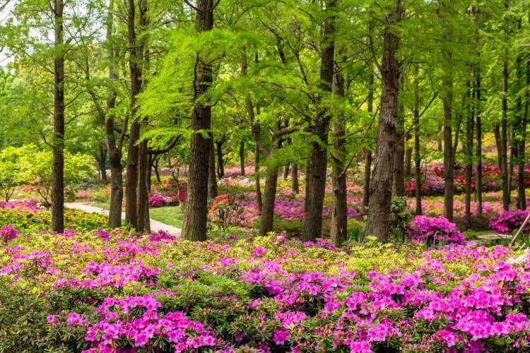 [上海東平森林公園]-主題拓展一日活動